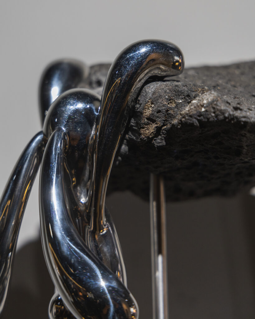 No Bunny exposición de Diego de Erice